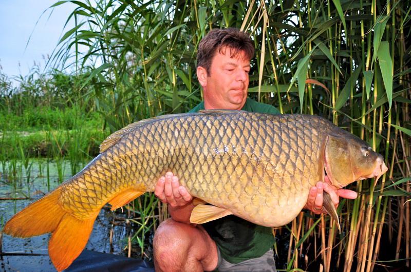Inca un crap record la Periprava - 21,5 kg